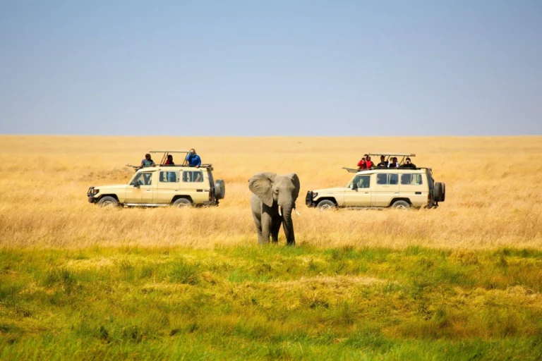 Tanzania-Mid-Range-Safari-scaled