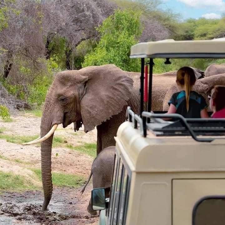 Mangalo Expeditions12