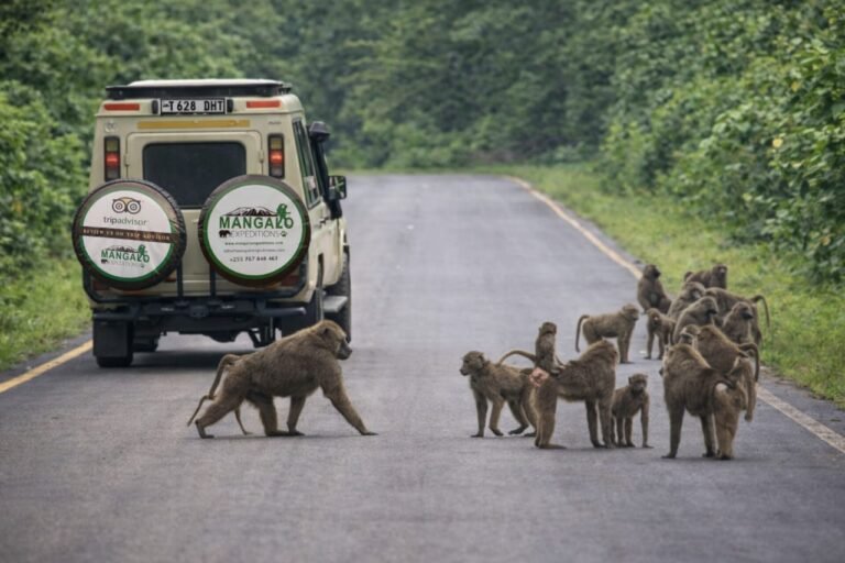 Mangalo Expeditions14