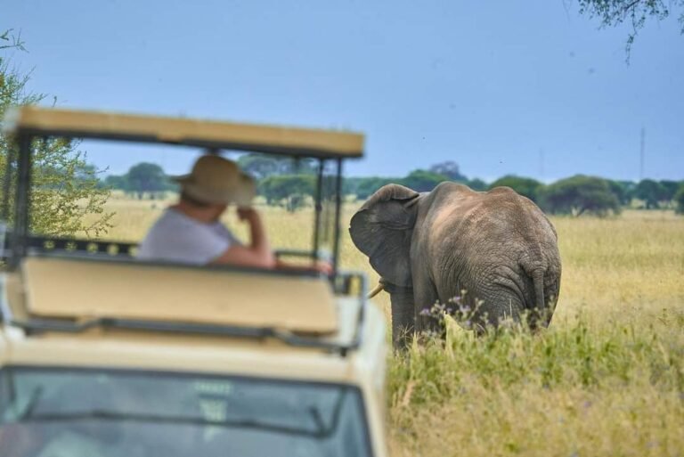 Mangalo Expeditions4