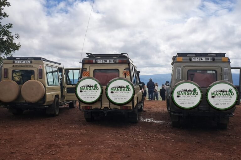 Ngorongoro Crater View