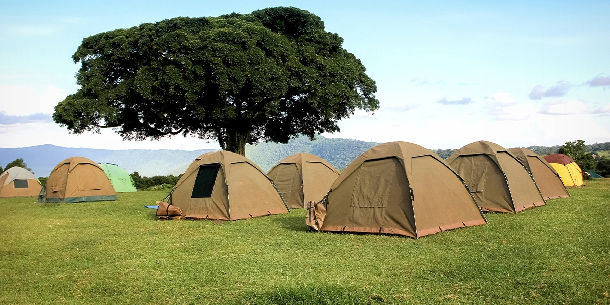 Ngorongoro Simba Campsite