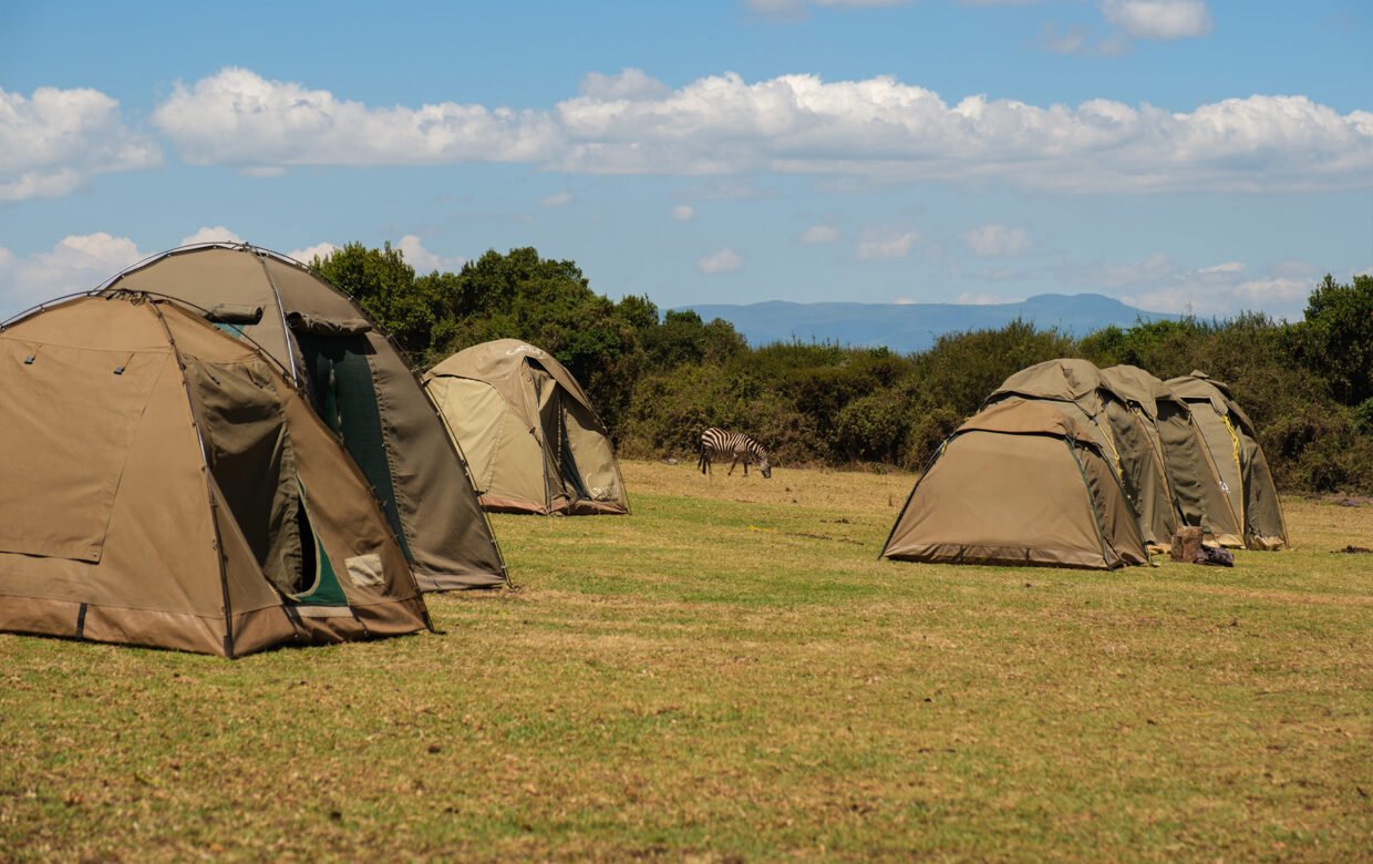 Ngorongoro Simba Campsite3