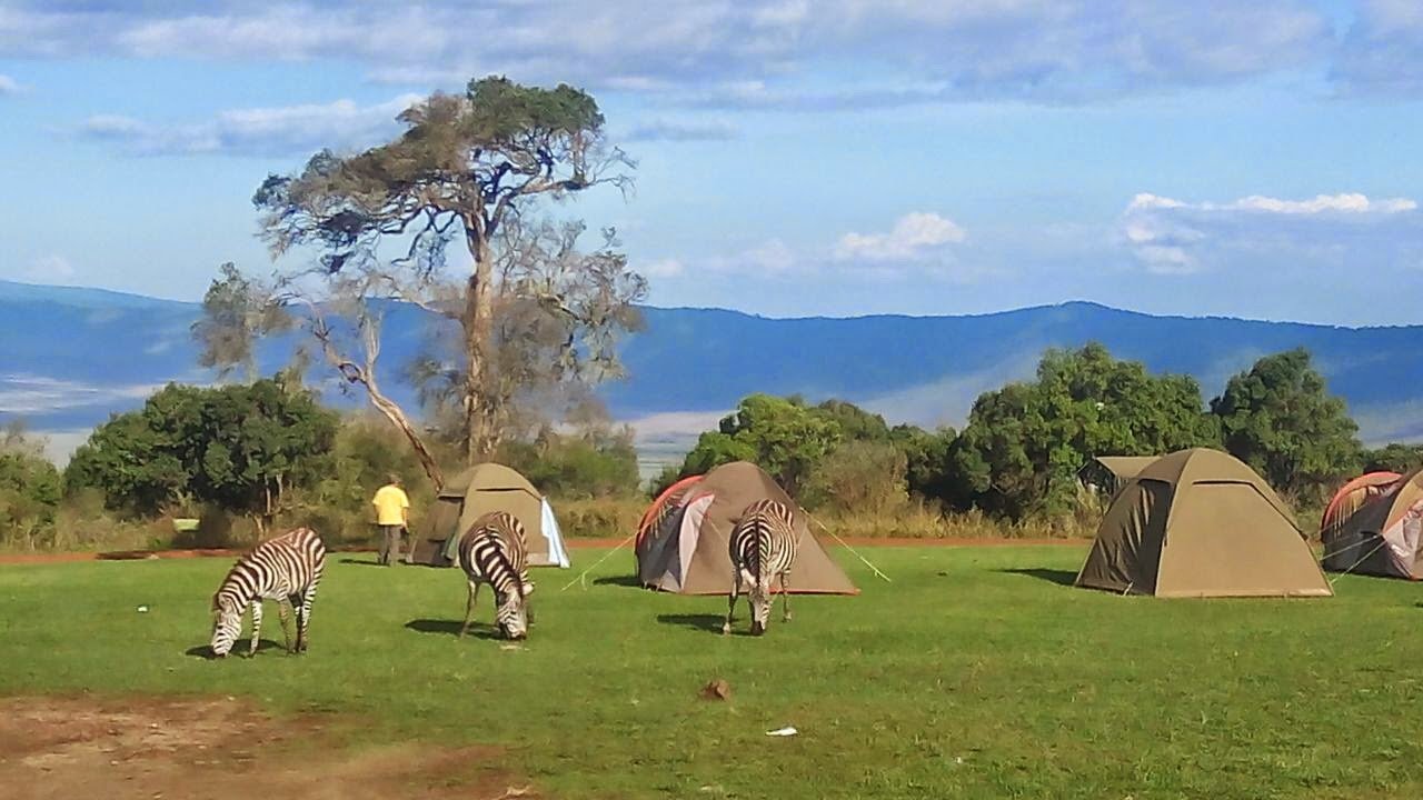 Ngorongoro Simba Campsite5
