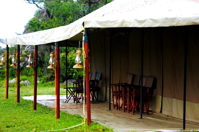 Serengeti Kisura Tented Camp3