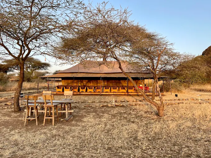 Serengeti Kisura Tented Camp4