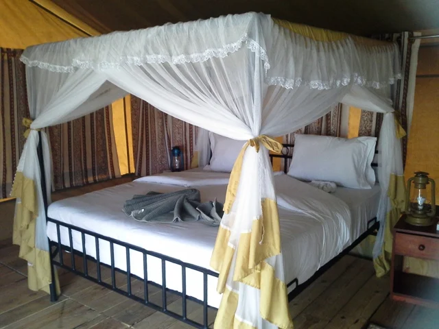 Serengeti Kisura Tented Camp5