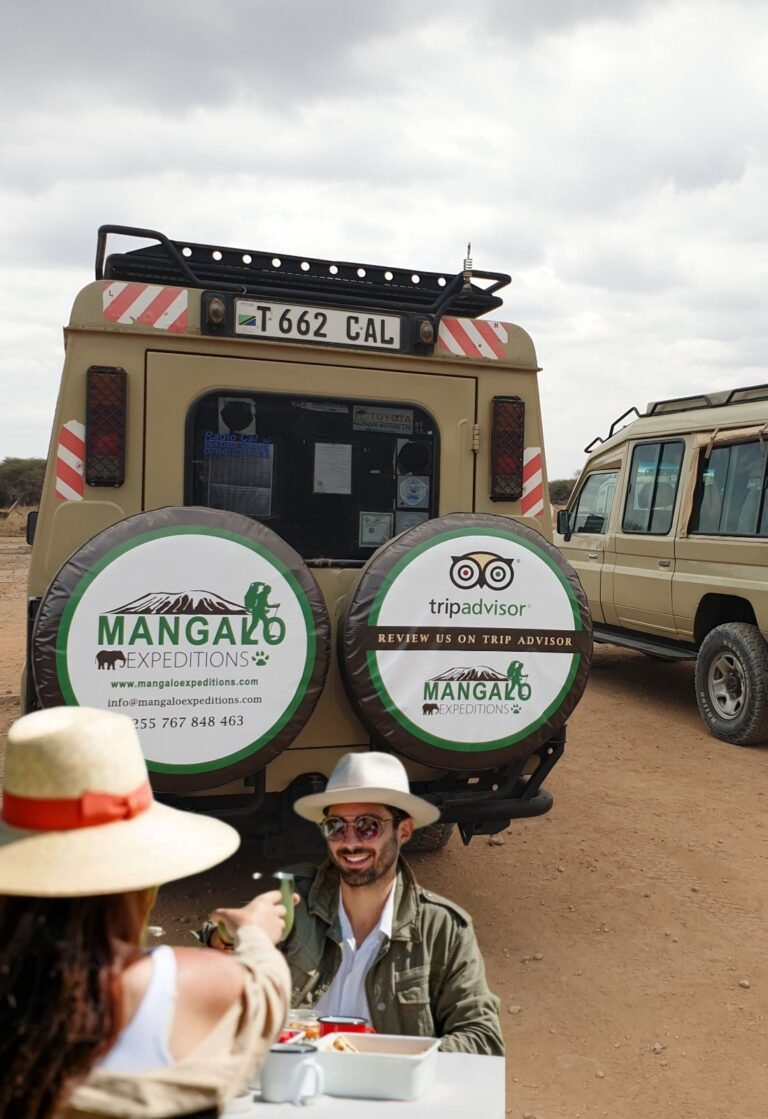 Serengeti tour