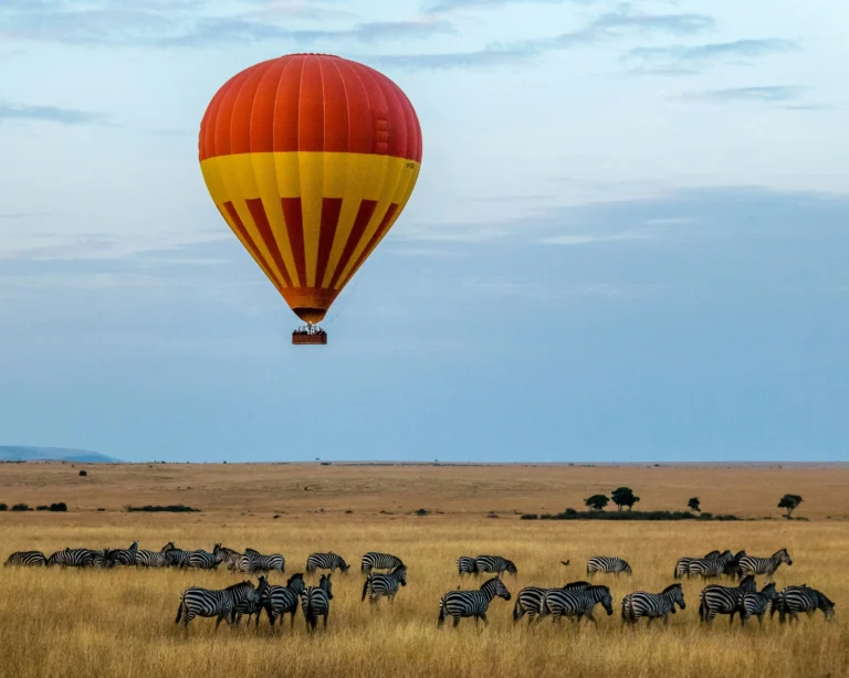 hotair balloning and the great migration