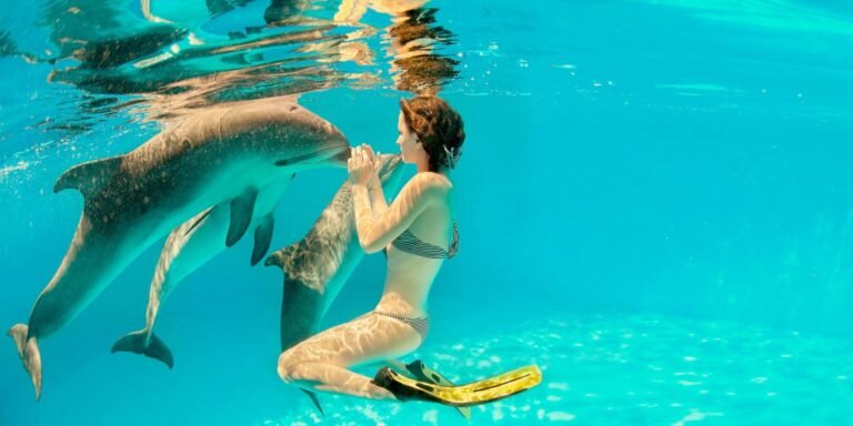 Discovering Zanzibar Island3