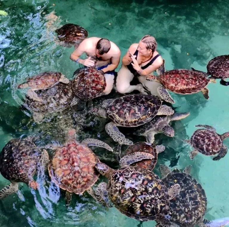 ZanzibarTour1