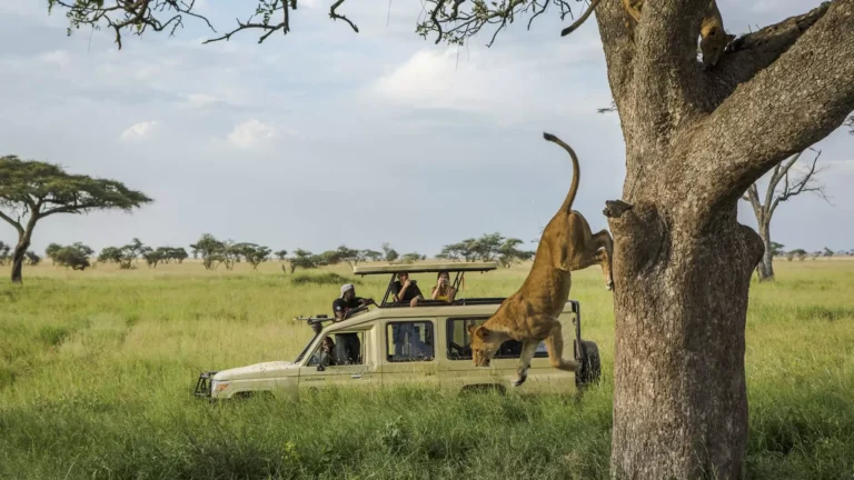 Tanzania-Family-Vacation-Tours
