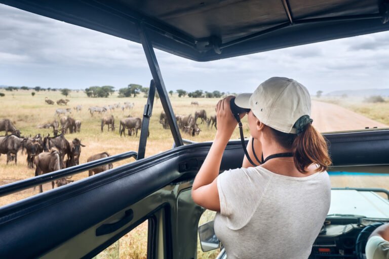 Woman,Tourist,On,Safari,In,Africa,,Traveling,By,Car,With